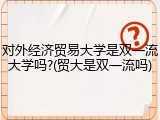 对外经济贸易大学是双一流大学吗?(贸大是双一流吗)