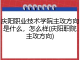庆阳职业技术学院主攻方向是什么，怎么样(庆阳职院主攻方向)