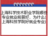 上海科学技术职业学院哪些专业就业前景好，为什么(上海科技学院好就业专业)