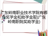 广东岭南职业技术学院有哪些奖学金和助学金呢(广东岭南职院奖助学金)