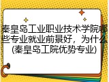 秦皇岛工业职业技术学院哪些专业就业前景好，为什么(秦皇岛工院优势专业)