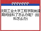 沈阳工业大学工程学院就读期间挂科了怎么办呢？(挂科怎么办)