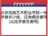 北京戏曲艺术职业学院一年学费多少钱，还有哪些费用(北戏学费及费用)
