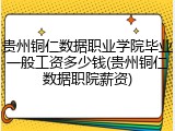 贵州铜仁数据职业学院毕业一般工资多少钱(贵州铜仁数据职院薪资)