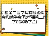 新疆第二医学院有哪些奖学金和助学金呢(新疆第二医学院奖助学金)