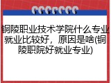 铜陵职业技术学院什么专业就业比较好，原因是啥(铜陵职院好就业专业)