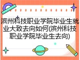 滨州科技职业学院毕业生就业大致去向如何(滨州科技职业学院毕业生去向)