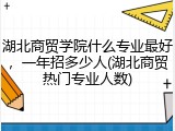 湖北商贸学院什么专业最好，一年招多少人(湖北商贸热门专业人数)
