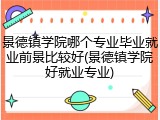 景德镇学院哪个专业毕业就业前景比较好(景德镇学院好就业专业)