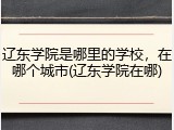 辽东学院是哪里的学校，在哪个城市(辽东学院在哪)