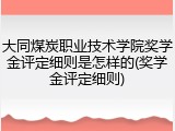 大同煤炭职业技术学院奖学金评定细则是怎样的(奖学金评定细则)