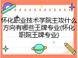 怀化职业技术学院主攻什么方向有哪些王牌专业(怀化职院王牌专业)