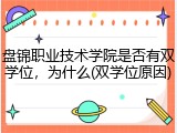 盘锦职业技术学院是否有双学位，为什么(双学位原因)