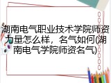 湖南电气职业技术学院师资力量怎么样，名气如何(湖南电气学院师资名气)