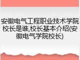 安徽电气工程职业技术学院校长是谁,校长基本介绍(安徽电气学院校长)