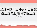 榆林学院主攻什么方向有哪些王牌专业(榆林学院王牌专业)