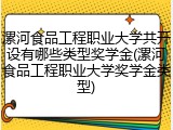 漯河食品工程职业大学共开设有哪些类型奖学金(漯河食品工程职业大学奖学金类型)