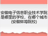 安徽电子信息职业技术学院是哪里的学校，在哪个城市(安徽蚌埠院校)