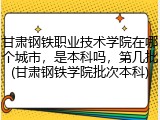 甘肃钢铁职业技术学院在哪个城市，是本科吗，第几批(甘肃钢铁学院批次本科)