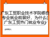 广东工贸职业技术学院哪些专业就业前景好，为什么(广东工贸热门就业专业)