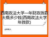 西南政法大学一年财政拨款大概多少钱(西南政法大学年拨款)