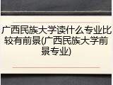 广西民族大学读什么专业比较有前景(广西民族大学前景专业)