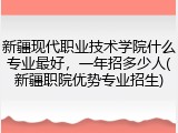 新疆现代职业技术学院什么专业最好，一年招多少人(新疆职院优势专业招生)