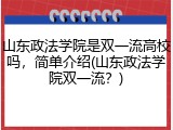 山东政法学院是双一流高校吗，简单介绍(山东政法学院双一流？)