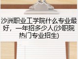 沙洲职业工学院什么专业最好，一年招多少人(沙职院热门专业招生)