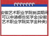 安徽艺术职业学院就读期间可以申请哪些奖学金(安徽艺术职业学院奖学金种类)