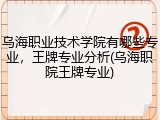 乌海职业技术学院有哪些专业，王牌专业分析(乌海职院王牌专业)