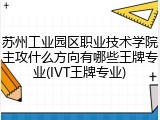 苏州工业园区职业技术学院主攻什么方向有哪些王牌专业(IVT王牌专业)