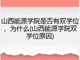山西能源学院是否有双学位，为什么(山西能源学院双学位原因)