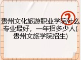 贵州文化旅游职业学院什么专业最好，一年招多少人(贵州文旅学院招生)