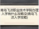 青岛飞洋职业技术学院办理入学有什么攻略没(青岛飞洋入学攻略)