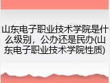 山东电子职业技术学院是什么级别，公办还是民办(山东电子职业技术学院性质)