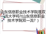 山东信息职业技术学院是双一流大学吗?(山东信息职业技术学院双一流？)