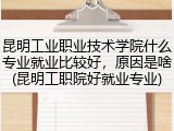 昆明工业职业技术学院什么专业就业比较好，原因是啥(昆明工职院好就业专业)
