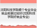 沈阳科技学院哪个专业毕业就业前景比较好(沈阳科技学院好就业专业)