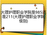 大理护理职业学院是985还是211(大理护理职业学院级别)
