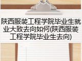 陕西服装工程学院毕业生就业大致去向如何(陕西服装工程学院毕业生去向)