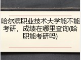 哈尔滨职业技术大学能不能考研，成绩在哪里查询(哈职能考研吗)