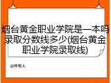 烟台黄金职业学院是一本吗录取分数线多少(烟台黄金职业学院录取线)