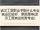 武汉工贸职业学院什么专业就业比较好，原因是啥(武汉工贸就业优势专业)