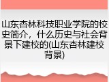 山东杏林科技职业学院的校史简介，什么历史与社会背景下建校的(山东杏林建校背景)