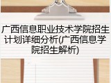 广西信息职业技术学院招生计划详细分析(广西信息学院招生解析)