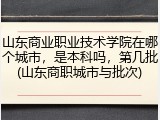 山东商业职业技术学院在哪个城市，是本科吗，第几批(山东商职城市与批次)