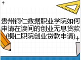 贵州铜仁数据职业学院如何申请在读间的创业无息贷款(铜仁职院创业贷款申请)