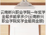 云南新兴职业学院一年奖学金最多能拿多少(云南新兴职业学院奖学金最高金额)