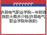 许昌电气职业学院一年财政拨款大概多少钱(许昌电气职业学院年拨款)